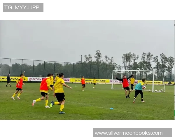 世界足球明星的摇篮：探寻那些造就传奇球员的青训基地与成长故事