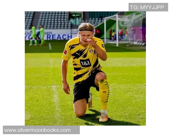 足球明星的9号背后故事与传奇时刻揭示了他们的荣耀与奋斗历程 足球明星的9号背后故事与传奇时刻揭示了他们的荣耀与奋斗历程