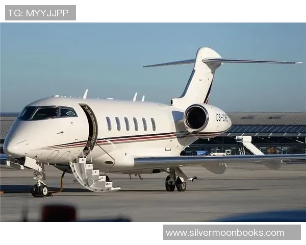 足球明星私人飞机价格揭秘奢华与实用的完美结合分析 足球明星私人飞机价格揭秘奢华与实用的完美结合分析