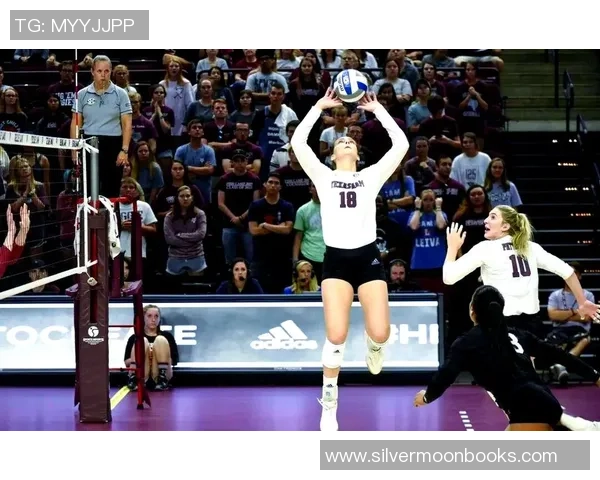 排球焦点:杭州排球队的技术探讨 排球焦点:杭州排球队的技术探讨