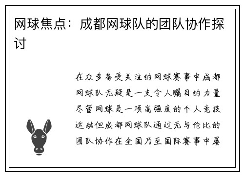 网球焦点：成都网球队的团队协作探讨
