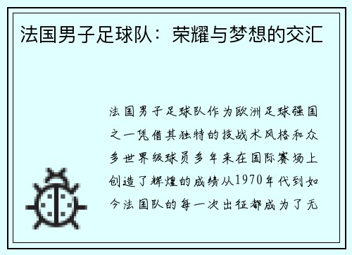 法国男子足球队：荣耀与梦想的交汇