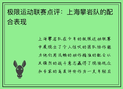 极限运动联赛点评：上海攀岩队的配合表现