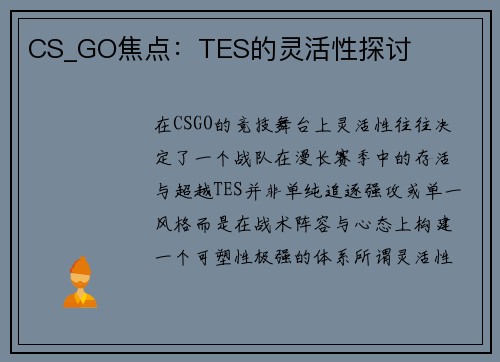 CS_GO焦点：TES的灵活性探讨