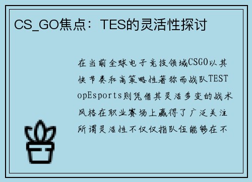 CS_GO焦点：TES的灵活性探讨